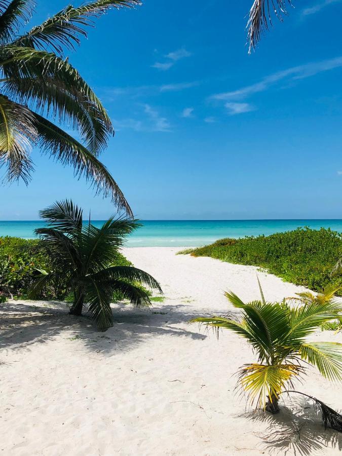 Cabana Tortuga A Unos Pasos De La Playa Apartment Ел Куйо Екстериор снимка
